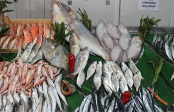 Akgün Balıkçılık Ve Su Ürünleri Avcılığı Ticaret Ltd. Şti.
