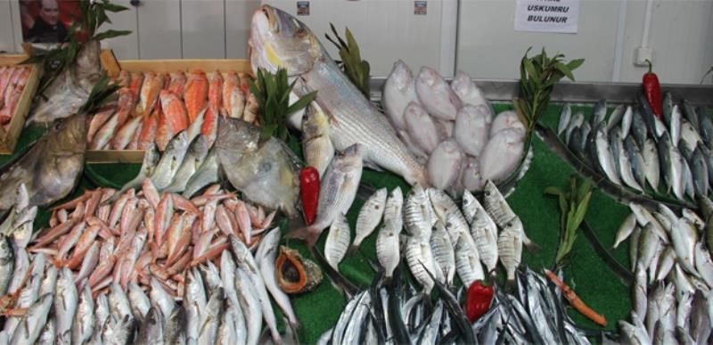 Akgün Balıkçılık Ve Su Ürünleri Avcılığı Ticaret Ltd. Şti.