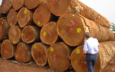 Aydın Kerestecilik Sanayi Ve Ticaret Ltd.Şti.