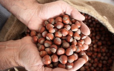 Emin Tarım Ürünleri İnşaat Nakliyat Ticaret Ltd.Şti.