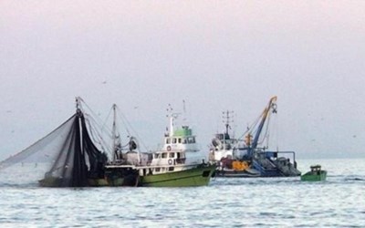 Şahin Balıkçılık Su Ürünleri Avcılığı Ticaret Ltd.Şti.