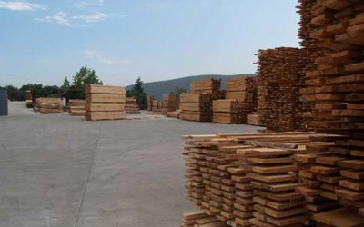 Altınsoylar Orman Ürünleri Temizlik Yemek Hizmetleri Ve İnşaat Taahhüt Taşımacılık Ticaret Ltd. Şti.