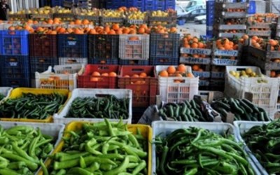 Erk Tarım Yatırımları Ticaret Ltd. Şti.