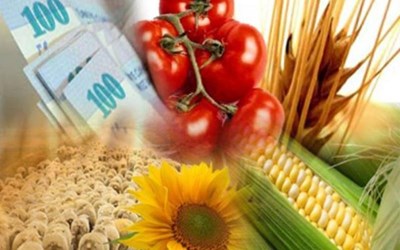 Golden Tarım Ürünleri Nakliyat Ambalajlama Ve Dış Ticaret Ltd.Şti.