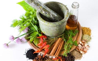 Zerrin Hekimoğlu - Zeni Ticaret