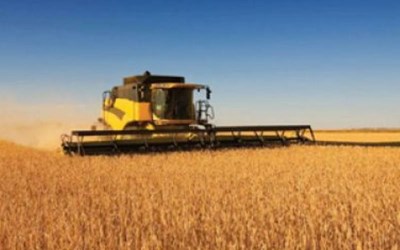 Birincioğlu Ticaret - Mustafa Birincioğlu