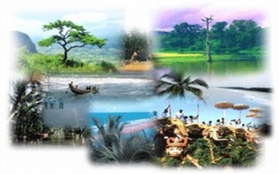 Alm Alemdar Turizm Ticaret Ltd. Şti. - Araklı Şubesi