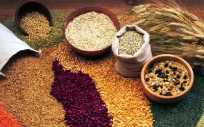 Abdulkadir Örseloğlu