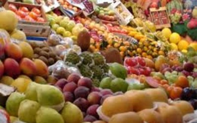 Arzum Gıda Maddeleri Nakliyat Turizm Ve Ticaret Ltd. Şti.