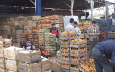 Aydemir Kardeşler Sebze Meyve Komisyonculuğu İthalat İhracat Ve Ticaret Ltd.Şti