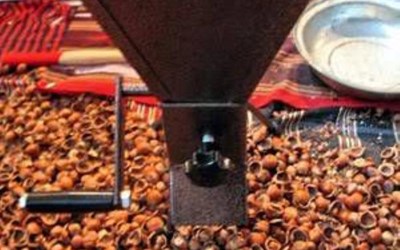 Mustafa Gökhan Özkan