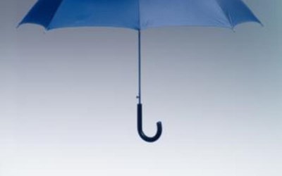 A.G.M. 61 Sigorta Aracılık