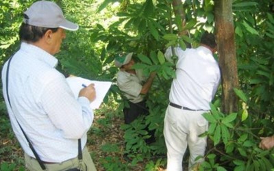 Bu-Se Ormancılık Mühendislik Ve Danışmanlık Hizmetleri