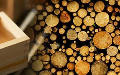 Biopel Orman Ürünleri Tarım Madencilik Ticaret Ltd. Şti.