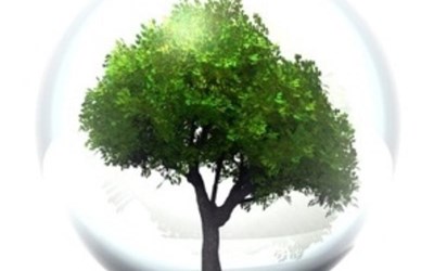 E.D.S. Çevre Tasarım İnşaat Turizm Hafriyat Ve Ticaret Ltd.Şti.