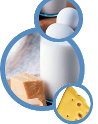 Ga-Ye Süt Ürünleri