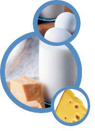Ga-Ye Süt Ürünleri