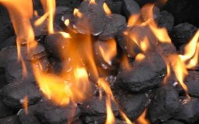 Tay-Yak Kömür Pazarlama İnşaat Taah.Tur.Nak.Ve Tic.Ltd.Şti