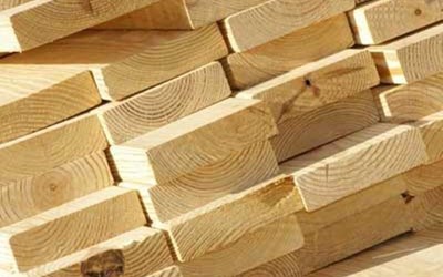 Kıyı Orman Ürünleri