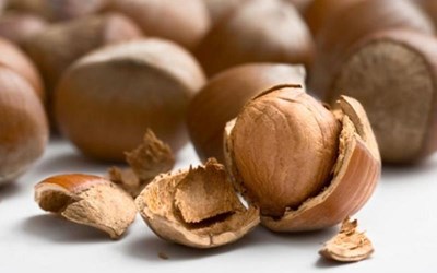 Toprak Tarım Ürünleri Sanayi Nakliyat Ve Ticaret Ltd. Şti.