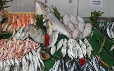 Akgün Balıkçılık Ve Su Ürünleri Avcılığı Ticaret Ltd. Şti.