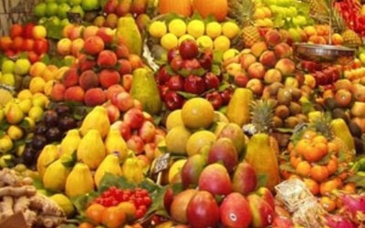 Erdenler Gıda Maddeleri Ticaret Ltd.Şti.