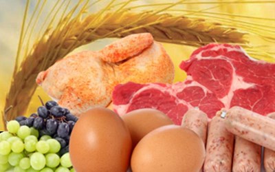 A.T.A. Gıda Sanayi Ve Ticaret Ltd.Şti.