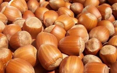 Cirav Gıda Sanayi Ve Ticaret A.Ş.