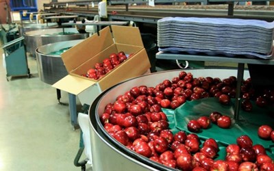 Paşabahçe Pazarlama Gıda Sanayi İnşaat Nakliyat Hizmetleri Ticaret Ltd. Şti.