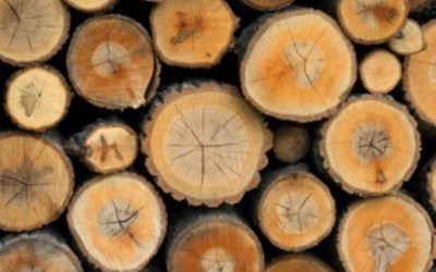 Alkan Ağaç Orman Ürünleri