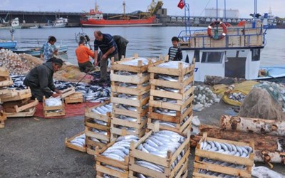 S.S. Büyükliman Su Ürünleri Koop.