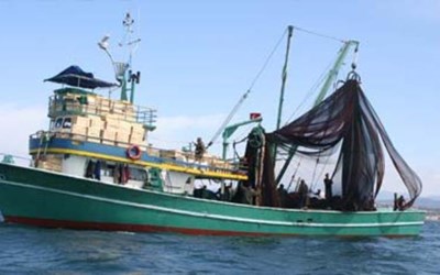 Kibar Deniz Ürünleri Gemi Acenteliği T
