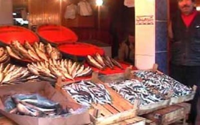 Gökal Gıda Sanayi Su Ürünleri