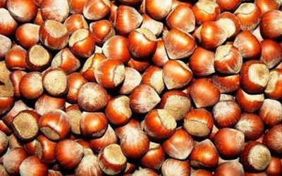 Akın Tarım Ürünleri