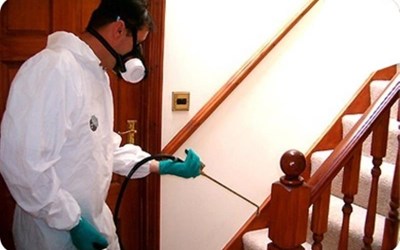 Çağlar Civil - İstanbul İlaçlama