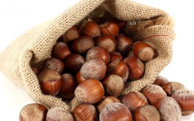 Foşa Gıda Sanayi İç Ve Dış Ticaret Ltd. Şti.