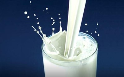 Kar-Kaş Süt Ürünleri