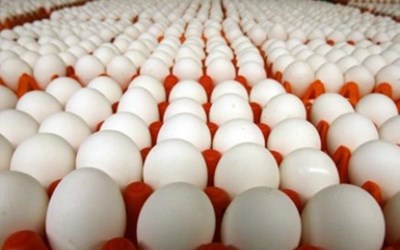 Eren Ticaret - Kasım Eren