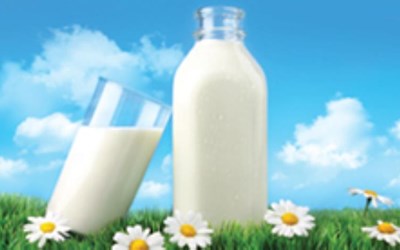 Bayram Süt Mamülleri