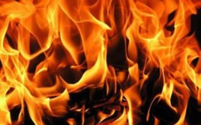 Abdioğlu Gıda Madencilik