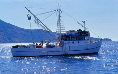 Karadeniz Kültür Balıkçılığı Sanayi Ve Ticaret A.Ş