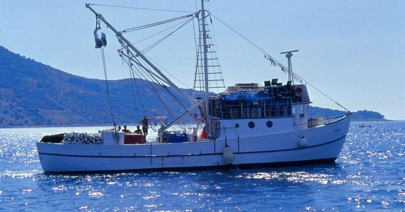 Karadeniz Kültür Balıkçılığı Sanayi Ve Ticaret A.Ş
