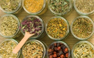 İsmail Hakkı Ergan - Kibarlı Organik