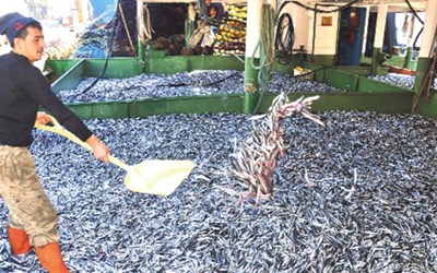 Deva Su Ürünleri Sanayi Nakliyat Turizm İnşaat Ve Ticaret Ltd.Şti.