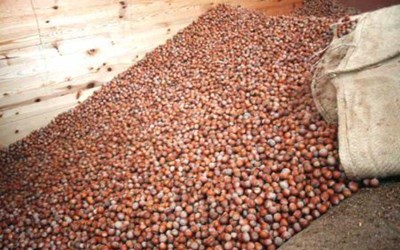 Arslantürk Tarım Ürünleri Sanayi İhracat Ve İthalat A.Ş.