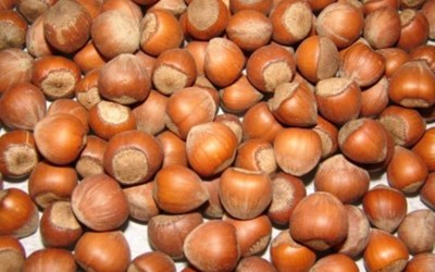 Trabzon Tarım Ürünleri Nakliyat Ve Ticaret Ltd. Şti.