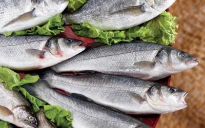 Altındere Su Ürünleri