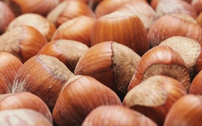 Oltan Gıda Maddeleri İhracat İthalat Ve Ticaret A.Ş.