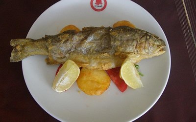 Çarşıbaşı Su Ürünleri Ve Gıda Sanayi Ticaret Ltd.Şti.