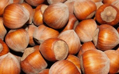 Berk Pazarlama Dış Ticaret Ve Sanayi Ltd. Şti.